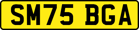 SM75BGA