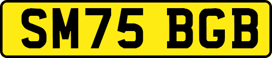 SM75BGB