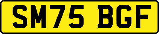 SM75BGF