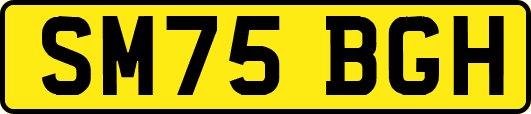 SM75BGH