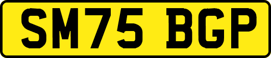 SM75BGP