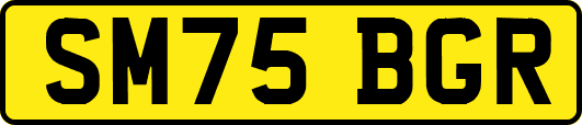 SM75BGR