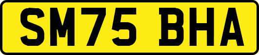 SM75BHA