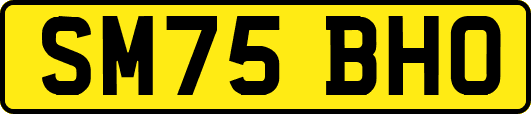 SM75BHO