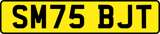 SM75BJT