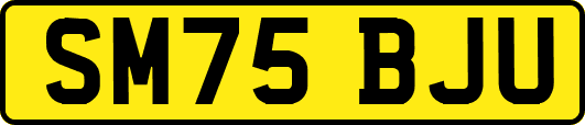 SM75BJU