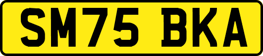 SM75BKA