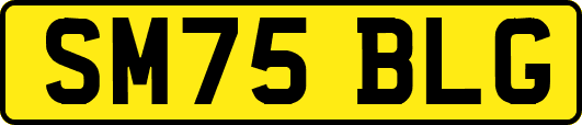 SM75BLG