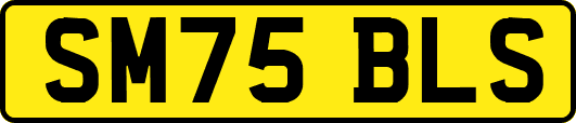 SM75BLS