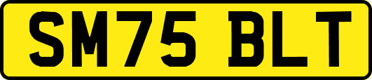 SM75BLT
