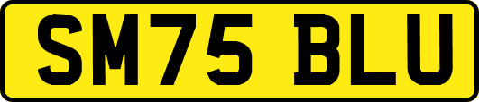 SM75BLU