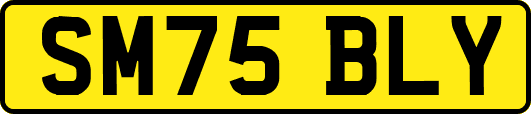 SM75BLY