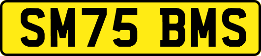 SM75BMS