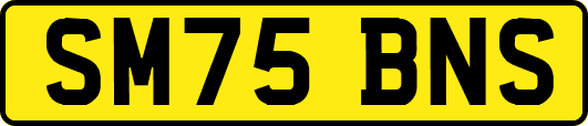 SM75BNS