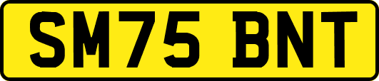 SM75BNT