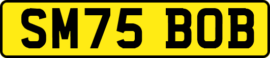 SM75BOB