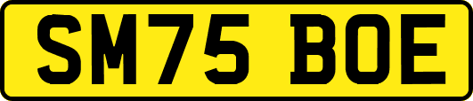 SM75BOE