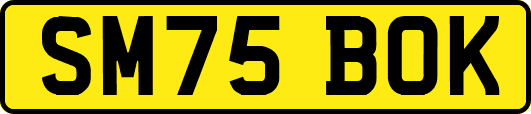 SM75BOK