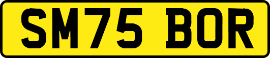 SM75BOR