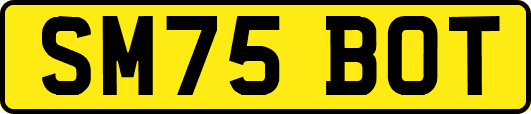 SM75BOT