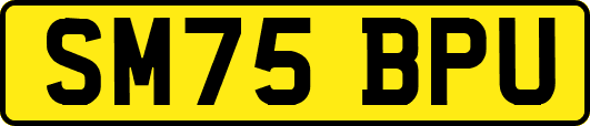 SM75BPU