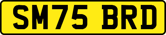 SM75BRD