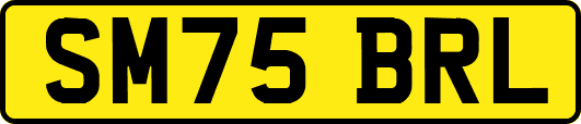 SM75BRL