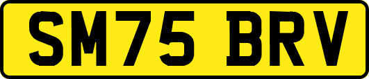 SM75BRV