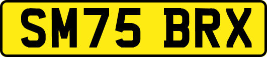 SM75BRX