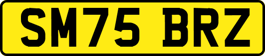 SM75BRZ