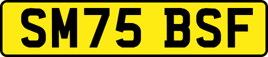 SM75BSF