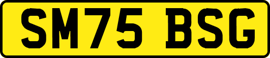 SM75BSG