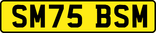 SM75BSM