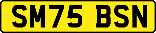 SM75BSN