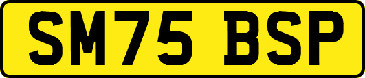 SM75BSP