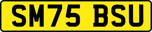 SM75BSU