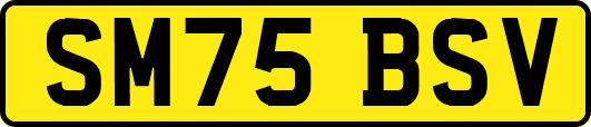 SM75BSV
