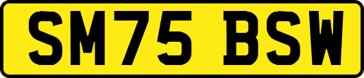 SM75BSW
