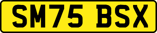SM75BSX