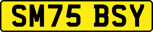 SM75BSY