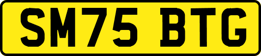 SM75BTG