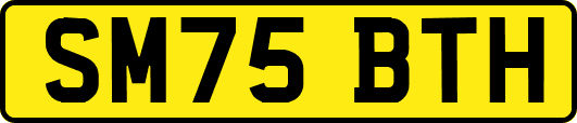 SM75BTH