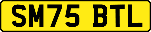 SM75BTL
