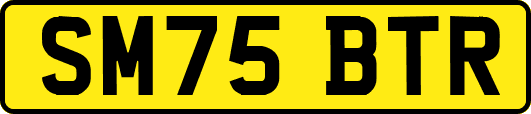 SM75BTR