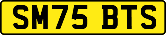 SM75BTS
