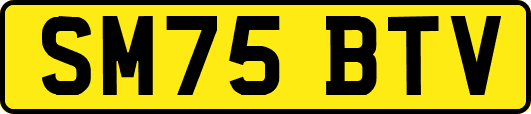 SM75BTV