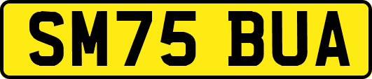 SM75BUA