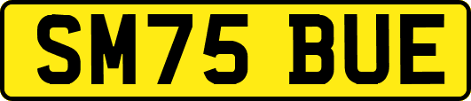 SM75BUE