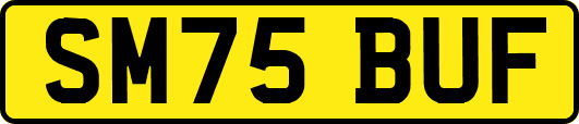 SM75BUF