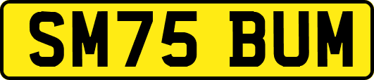 SM75BUM